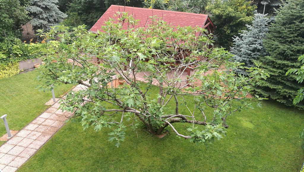 Fig Tree House בודפשט מראה חיצוני תמונה
