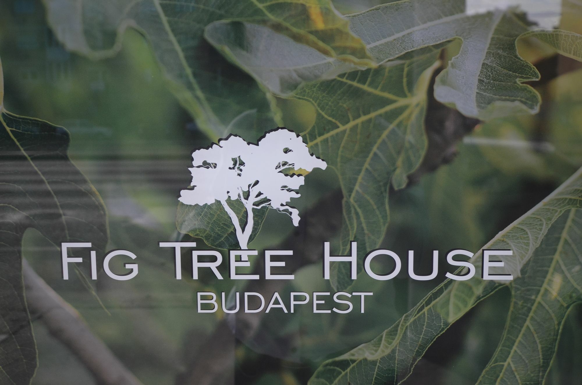 Fig Tree House בודפשט מראה חיצוני תמונה